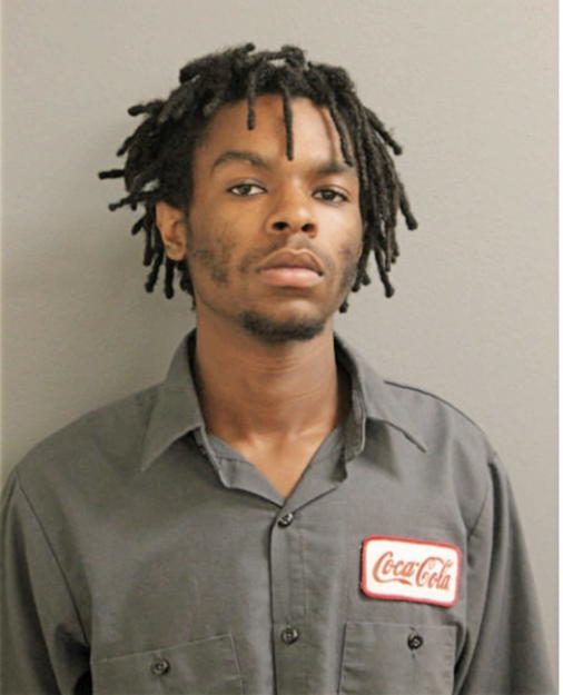 DAVID T GARY, Cook County, Illinois