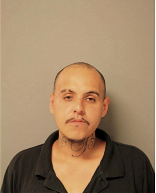 MIGUEL GOMEZ, Cook County, Illinois