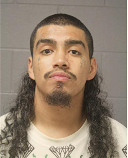 TIMOTHY M GONZALEZ, Cook County, Illinois