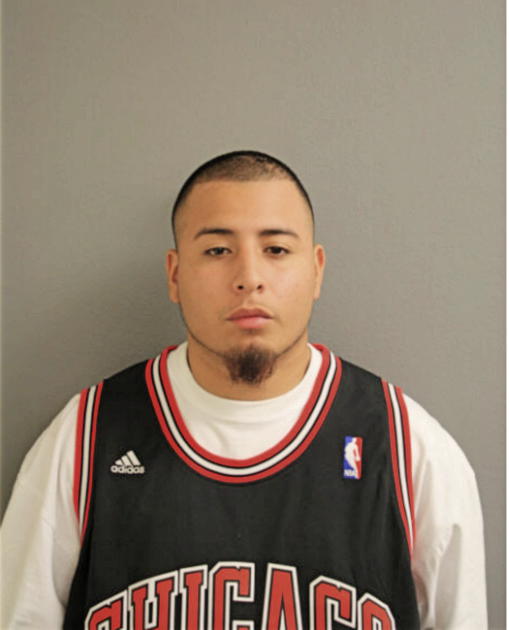 JUSTIN E GUERRA, Cook County, Illinois