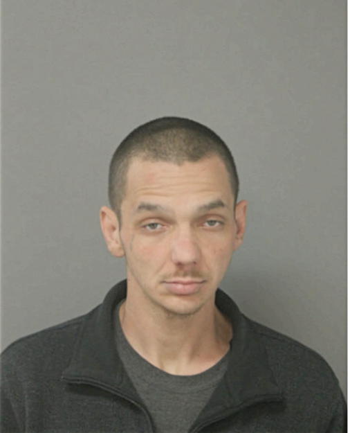 BRIAN J HAMILTON, Cook County, Illinois