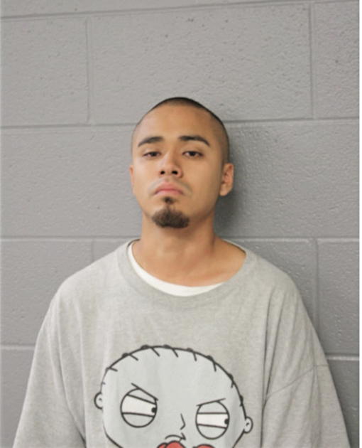 DIEGO E HERNANDEZ, Cook County, Illinois