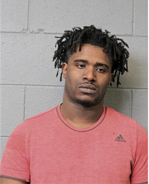 DARNELL L JOHNSON, Cook County, Illinois