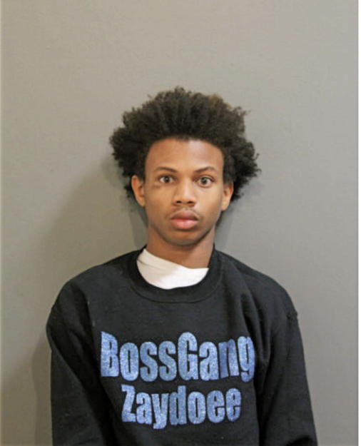 ISAIAH D JOHNSON, Cook County, Illinois