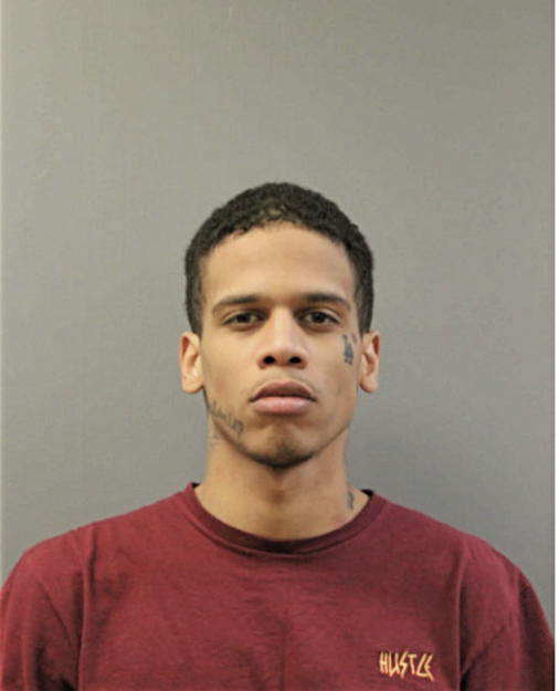 JAVAN L JOHNSON, Cook County, Illinois