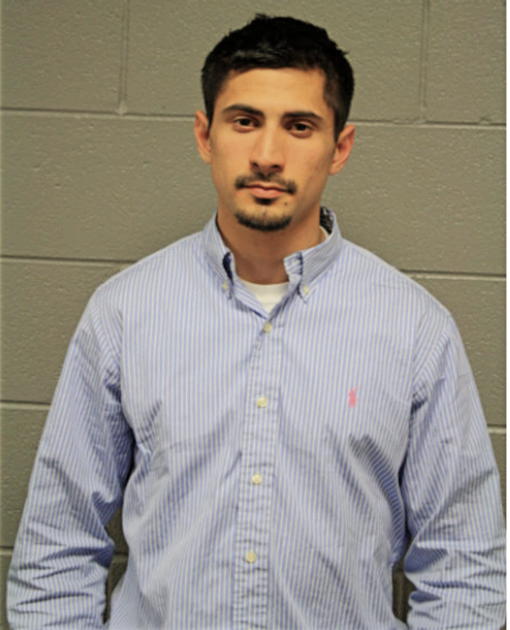 KEVIN J KRYLOWSKI, Cook County, Illinois