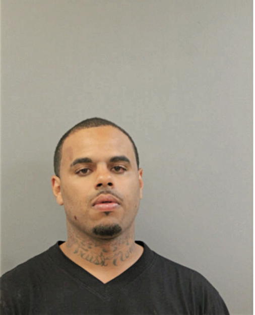 DEVIN L LOGGINS, Cook County, Illinois