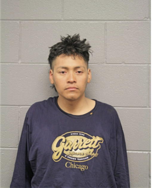 CESAR MARTINEZ, Cook County, Illinois
