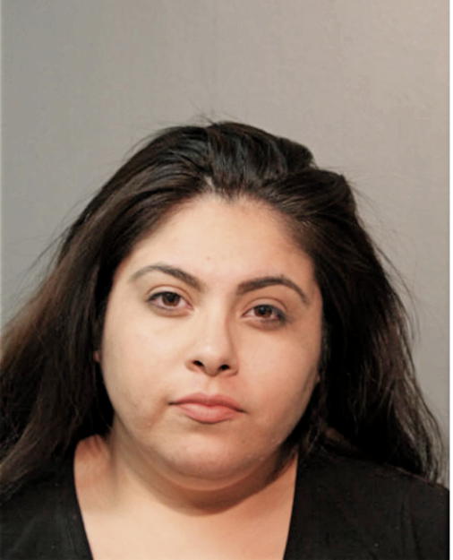 ELIZABETH MARTINEZ, Cook County, Illinois