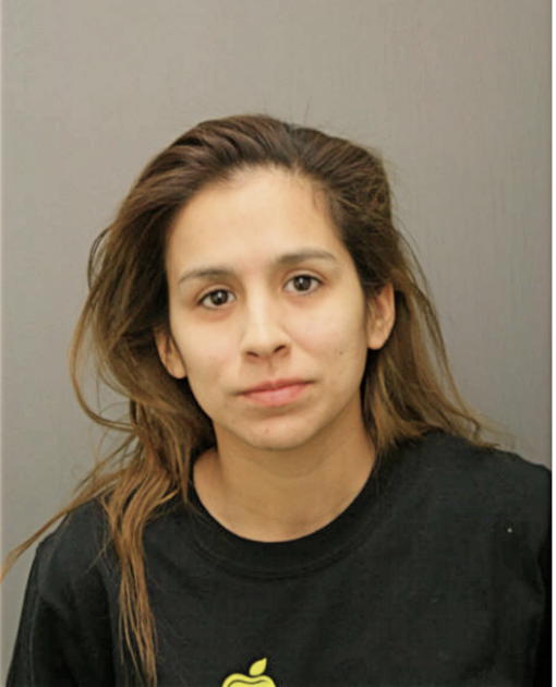 MELESSA J MARTINEZ, Cook County, Illinois
