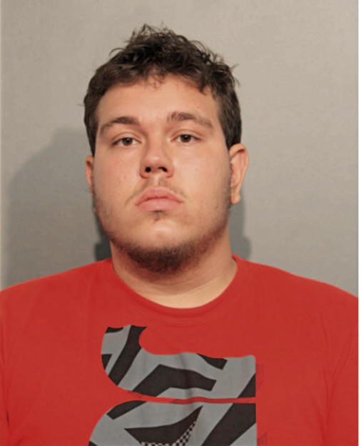 ADNAN MASIC, Cook County, Illinois