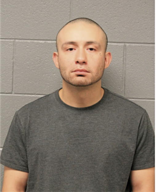 ERMELINDO MEJIA, Cook County, Illinois