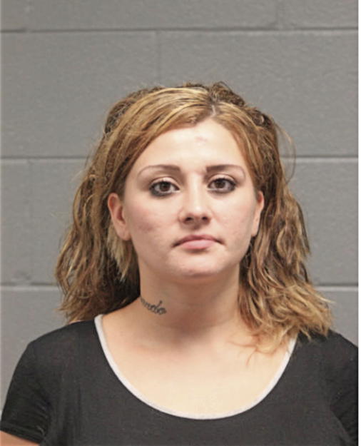 CRYSTAL A MELENDEZ, Cook County, Illinois