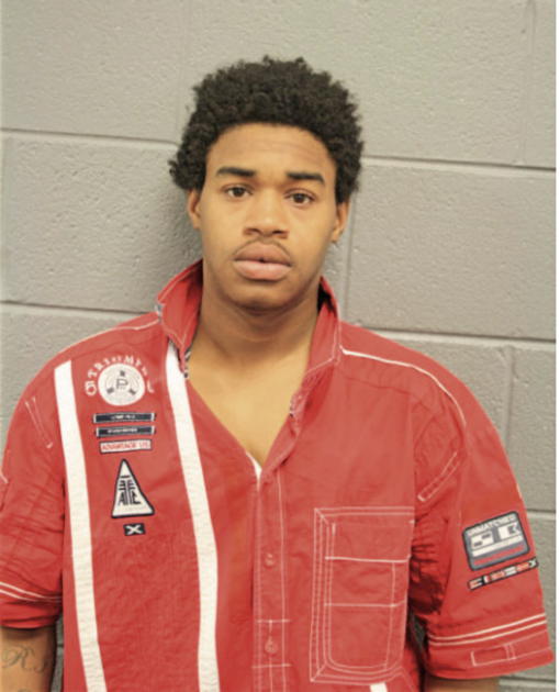 ROBERT J MILLER, Cook County, Illinois