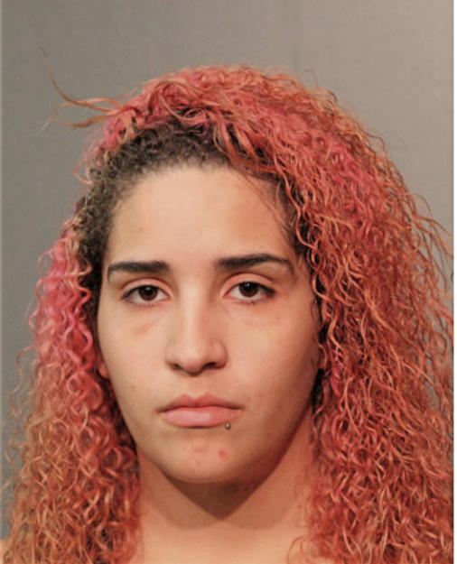YANESSA NEGRON, Cook County, Illinois