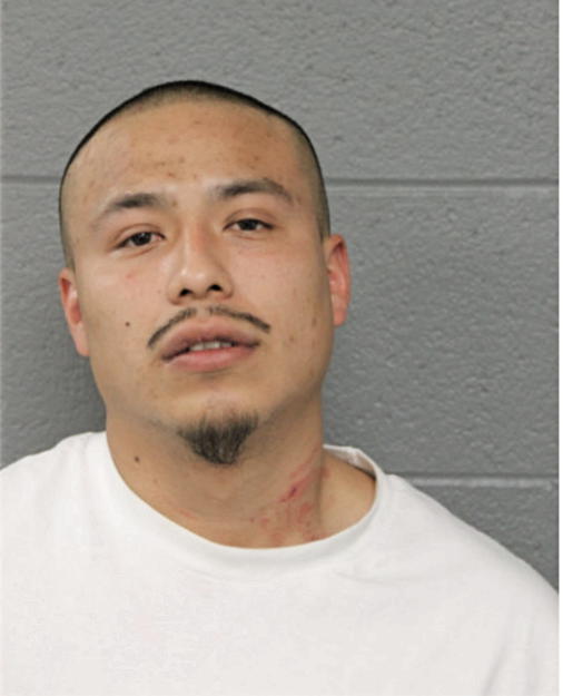 DAVID PINA, Cook County, Illinois