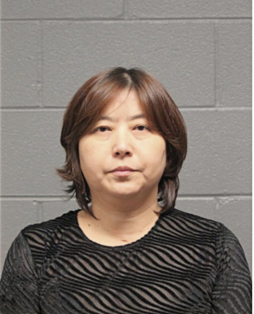 YANG QIN, Cook County, Illinois
