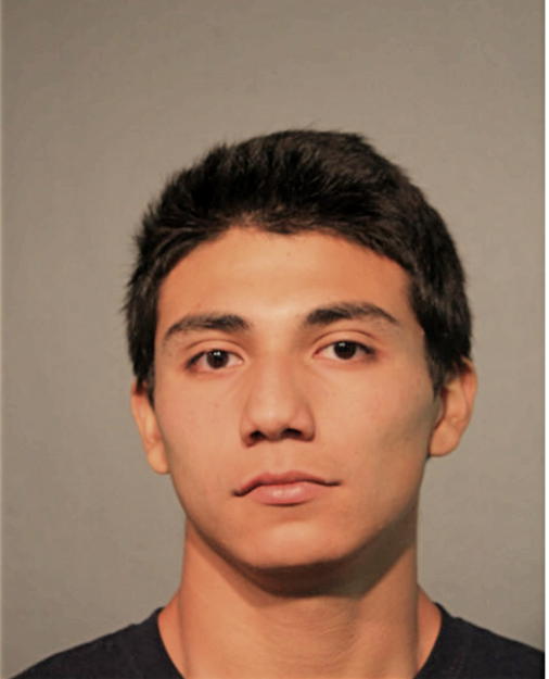 ROBERT B RAMIREZ, Cook County, Illinois