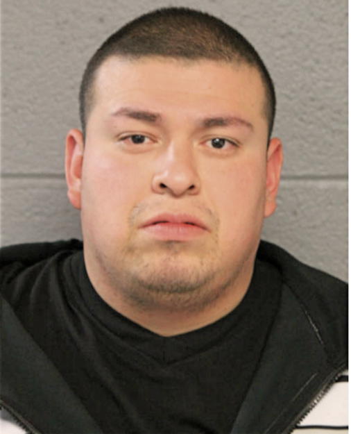 JOEL E RAMOS, Cook County, Illinois