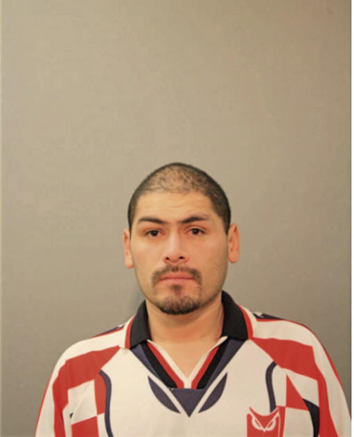 JOSE L RUEDA, Cook County, Illinois