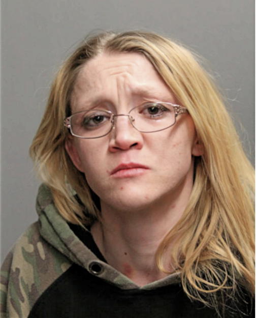 WENDY A SLUSHER, Cook County, Illinois