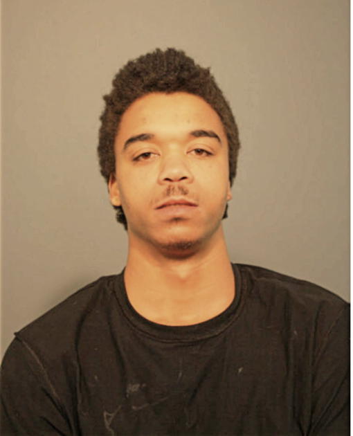 SAMUEL T SMITH, Cook County, Illinois