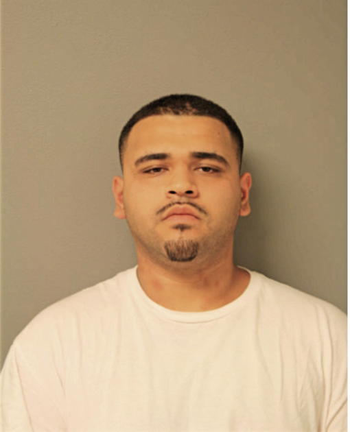 DOMINIC M VELASQUEZ, Cook County, Illinois