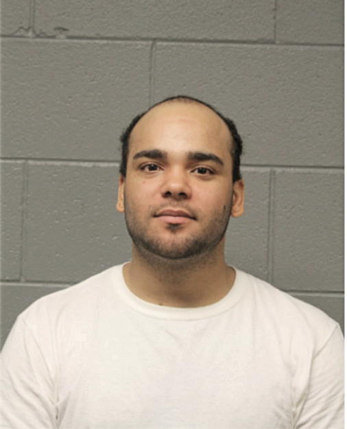 BRYAN VIGA, Cook County, Illinois