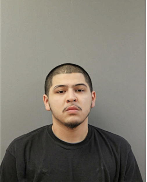 MARCO A VILLA, Cook County, Illinois