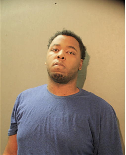 ANTHONY L WILSON, Cook County, Illinois