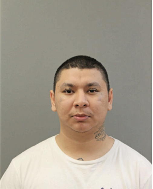 FRANCISCO J ALVARADO, Cook County, Illinois