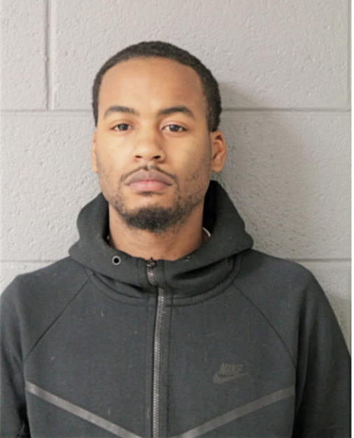 SCHAUNCEY R BLEVINS, Cook County, Illinois