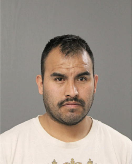 FILOGONIO CASTELAN-OROZCO, Cook County, Illinois