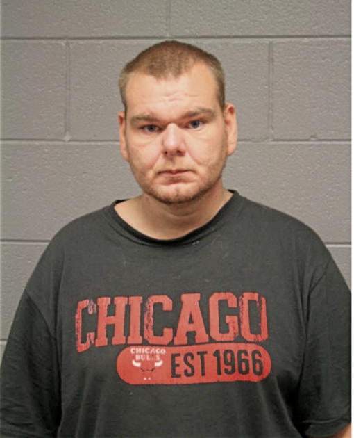 MICHAEL L CELLA, Cook County, Illinois