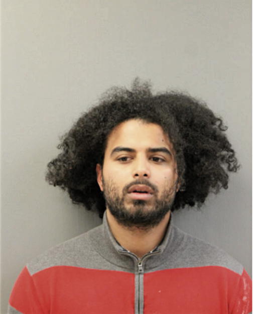 ANDRES E DEJESUS, Cook County, Illinois