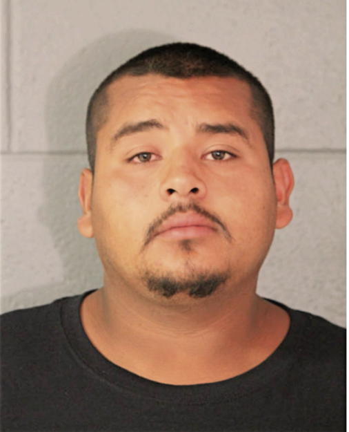 LUIS M DOMINGUEZ, Cook County, Illinois