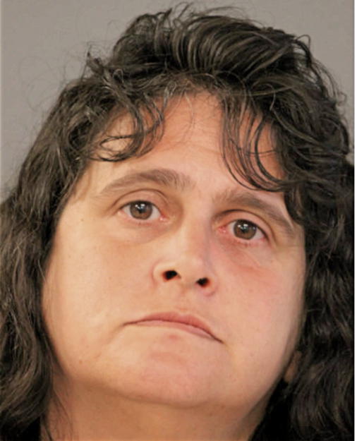 DEBRA A FICARO, Cook County, Illinois