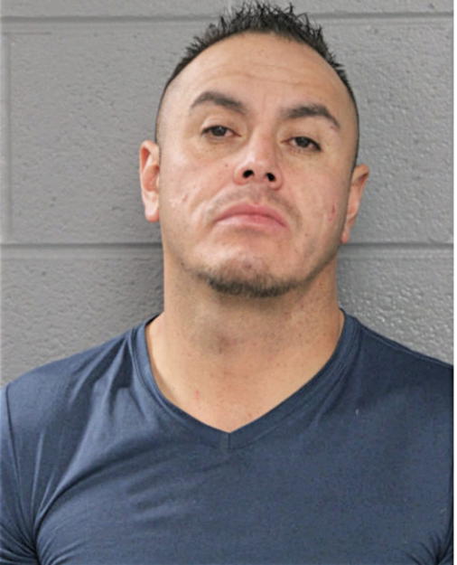 SALVADOR M GARCIA, Cook County, Illinois