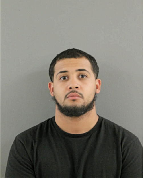 DAVID JOHNSON, Cook County, Illinois
