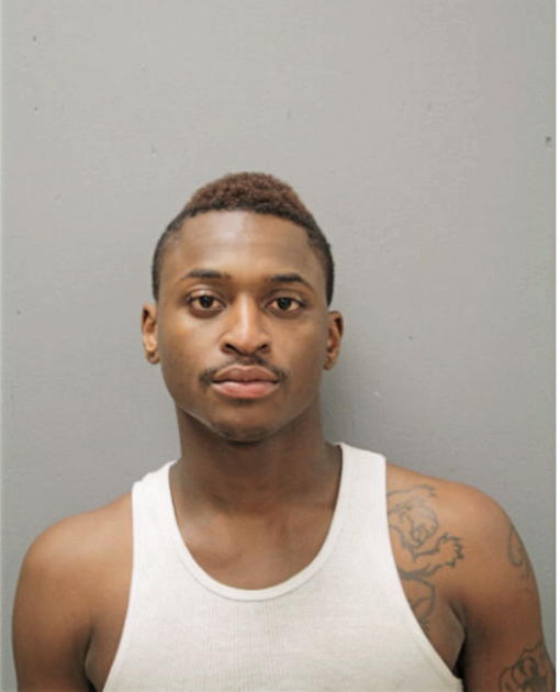 RYAN JOHNSON, Cook County, Illinois