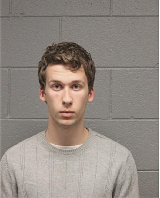 DOMINIC J MARLOW, Cook County, Illinois