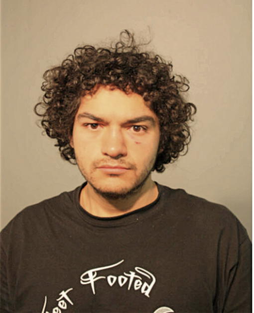 JUSTIN A MOHEDANO, Cook County, Illinois