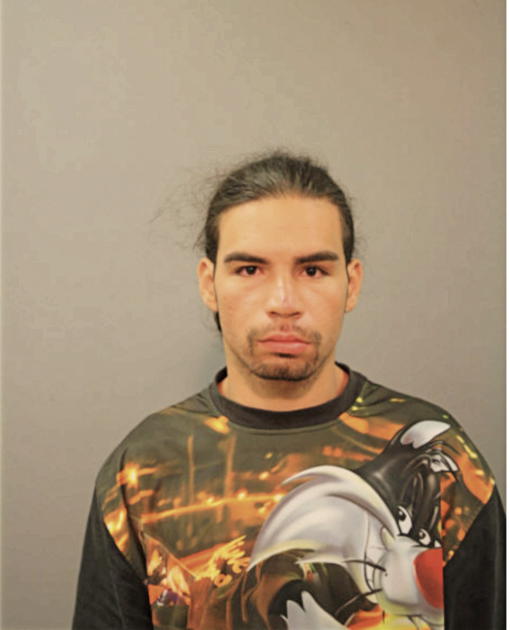 DANIEL A MOLINA, Cook County, Illinois