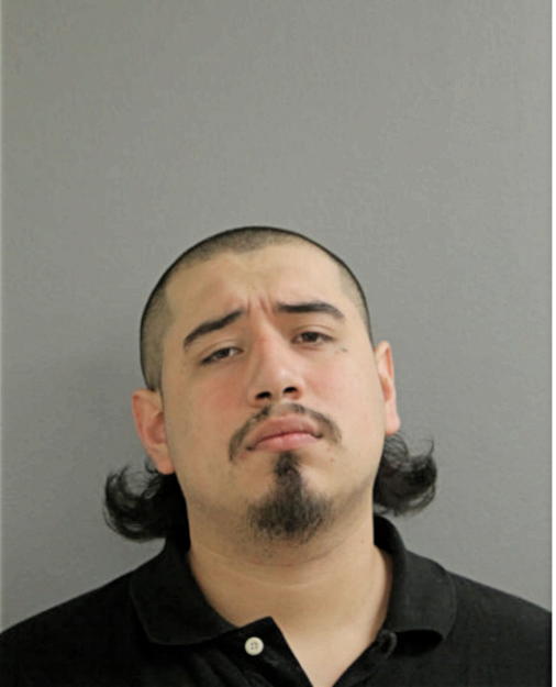 MIGUEL NAVARRETE, Cook County, Illinois