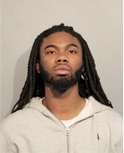 ABDUL O OTENIGBAGBE, Cook County, Illinois