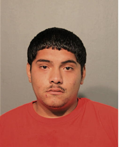 OSLIN A RODRIGUEZ, Cook County, Illinois