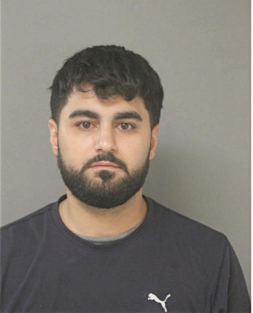 TAREQ A SHAABNEH, Cook County, Illinois