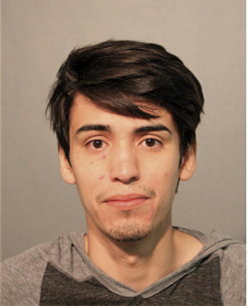 ALEXANDRO M TELLO, Cook County, Illinois