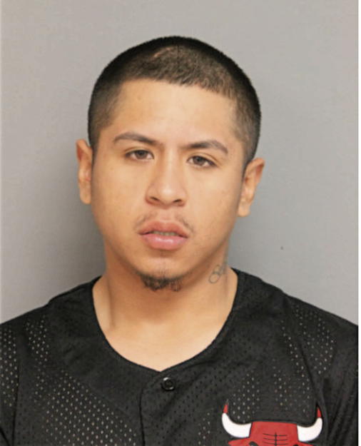 JAVIER TILAPA, Cook County, Illinois