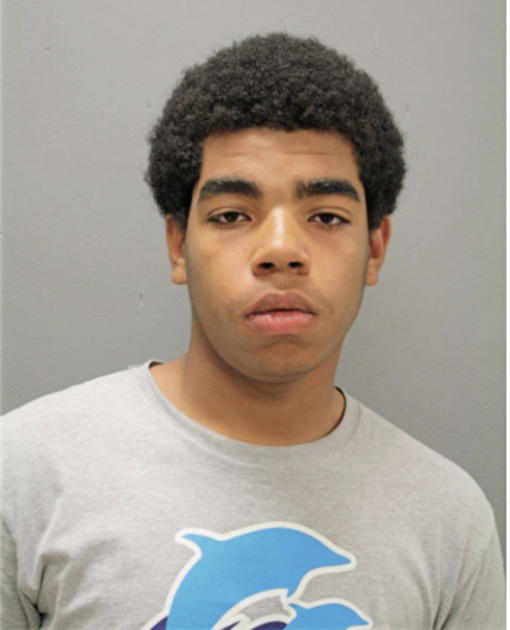 BRANDON D WADE, Cook County, Illinois